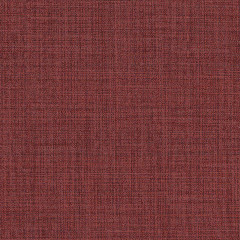 Belle Samba - catalog.jpg