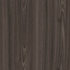 3D-541943-Tossini Hazelnut-Catalog.jpg