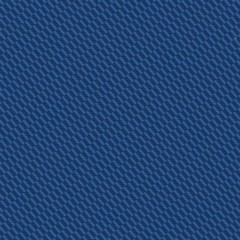 Echo_True Blue-catalog.jpg