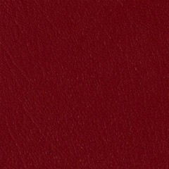 files/cf/hires/518761.jpg