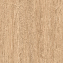 Acacia Honey - Catalog.jpg