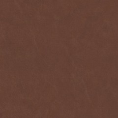 files/cf/hires/522172.jpg