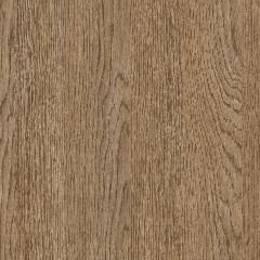 Kopenhagen Shitake - Catalog.jpg