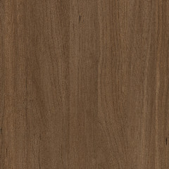 Canyon Nutmeg - Catalog.jpg