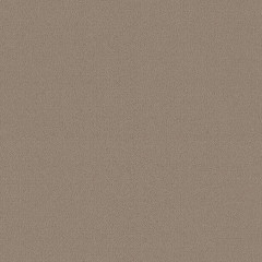 Grand Cayman Camel - catalog.jpg