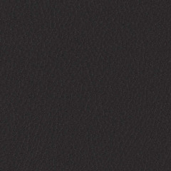 Cetacea Charcoal Black - catalog 2.jpg