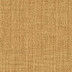 Belle Goldenrod - catalog.jpg