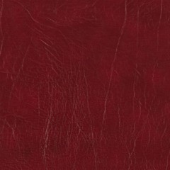 files/cf/hires/513627.jpg