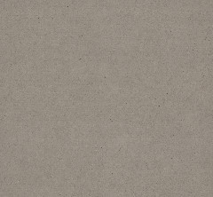 Ventura Fossil - Full Repeat.jpg
