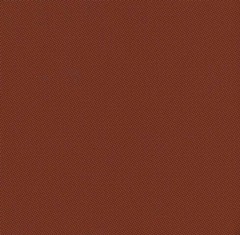 Echo_Pumpkin Spice.jpg