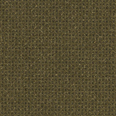 Villa Green Olive - catalog.jpg