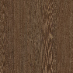 Gaja Spice - Catalog.jpg