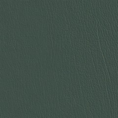 files/cf/hires/518386.jpg