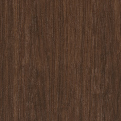 Finley Brunet - Catalog.jpg