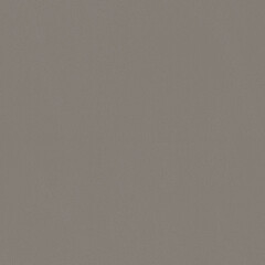 Grand Cayman Rhino - catalog.jpg