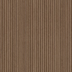 Tambour Caramel - Catalog.jpg