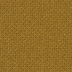 Villa Golden Moss - catalog.jpg