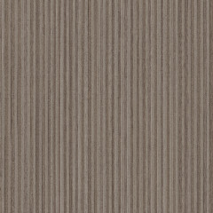 Tambour Iron - Catalog.jpg