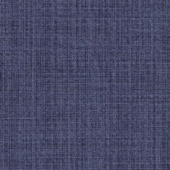 Belle Iris - catalog.jpg