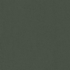 Colorado-Herb-closeup.jpg