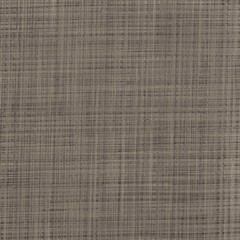 suitor-warm-ash-542277.jpg