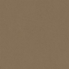 Colorado-Camel-closeup.jpg