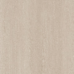 Tineo Porcelain - Catalog.jpg