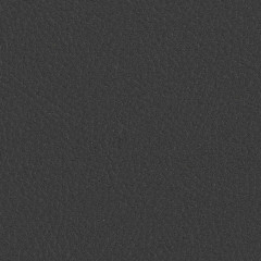 Cetacea Slate - catalog 2.jpg