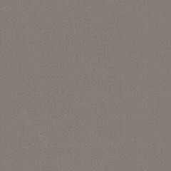 Grand Cayman Rhino - catalog.jpg