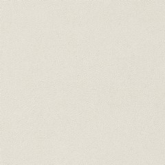 Colorado-Cotton-closeup.jpg