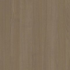 Samara Camel-catalog.jpg