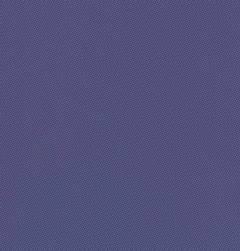 Echo_Grape Snowcone.jpg